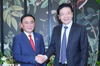 Đẩy mạnh quan hệ kênh Đảng đi vào chiều sâu, định hướng chung cho quan hệ Việt Nam – Singapore
