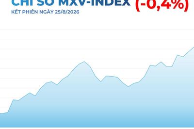THỊ TRƯỜNG HÀNG HÓA: MXV-Index rời khỏi vùng 2.900 điểm