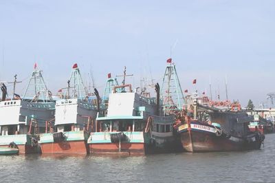 TPHCM mở tháng cao điểm khắc phục khuyến nghị của EC về IUU