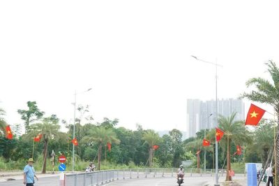 Phường Lái Thiêu khánh thành 'Tuyến đường hoa - tuyến đường cờ Tổ quốc'