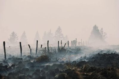 Mối nguy tiềm ẩn khi cháy rừng hoành hành Châu Âu