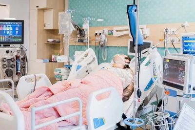 Nam du khách Úc ngừng tuần hoàn ngoại viện, hồi phục sau 5 ngày