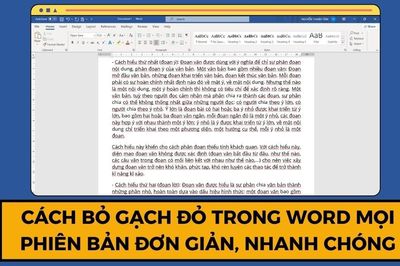 Bỏ gạch đỏ trong Word