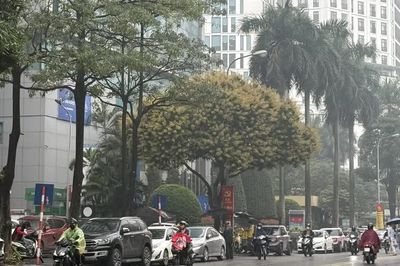 Dự báo thời tiết ngày 27/8: Nam Bộ gia tăng mưa diện rộng