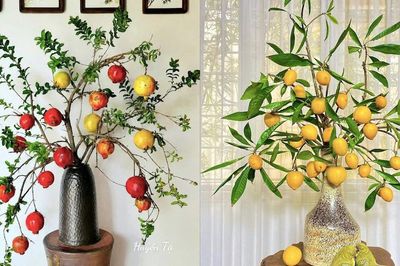 Cành hồng, na trĩu quả vào bình, thú chơi nhiều người mê mẩn
