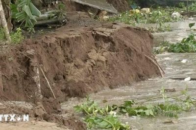 Sạt lở dài 50m ven sông Hậu, An Giang di dời người dân đến nơi an toàn