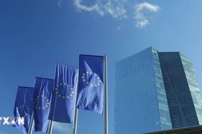 ECB nhiều khả năng sẽ tăng lãi suất vào tháng 9