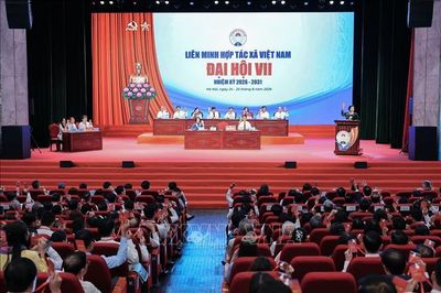 Liên minh Hợp tác xã đặt mục tiêu có hơn 5.000 hợp tác xã ứng dụng công nghệ cao
