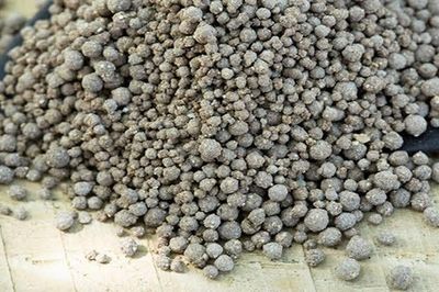 Dự án khai thác phốt phát đáy biển đầu tiên trên thế giới
