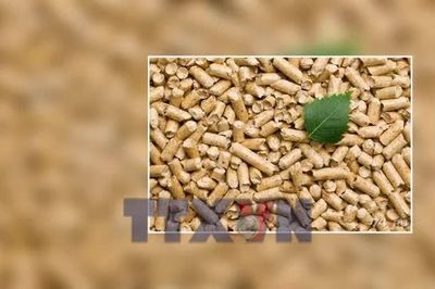 Biến phế phẩm thành 'mỏ vàng' có khả thi?