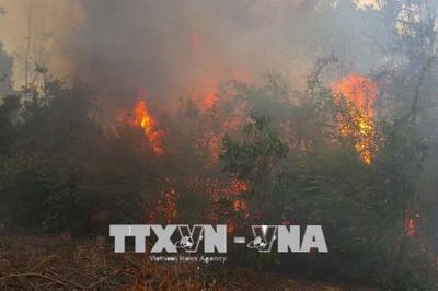 Kịp thời khống chế nhiều vụ cháy rừng xảy ra liên tiếp trong ngày