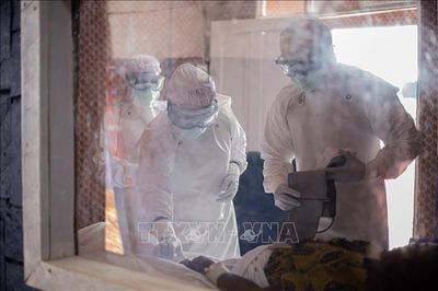 Nhân viên cứu trợ nhân đạo tại vùng dịch Ebola bị tấn công