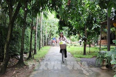Về Đồng Tháp tìm lại nét xưa: Từ di sản đến nhịp sống cộng đồng