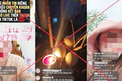 Tự xưng được 'bề trên' chỉ điểm, bán 'lộc' xổ số, lừa hơn 50 tỷ đồng