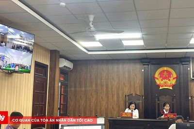 Xét xử trực tuyến vụ tranh chấp hơn 2.400m² đất tại Gia Hòa