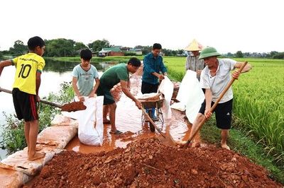 Phúc Hòa khẩn trương ngăn nước lũ, bảo vệ đồng ruộng