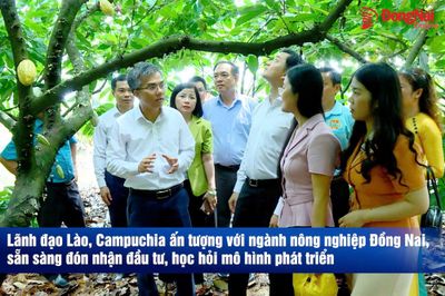 [Video] Lãnh đạo Lào, Campuchia ấn tượng với ngành nông nghiệp Đồng Nai, sẵn sàng đón nhận đầu tư, học hỏi mô hình phát triển