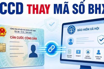 Từ ngày 1-9 dùng số căn cước thay mã BHXH: Người dân có phải đổi sổ, thẻ BHYT?