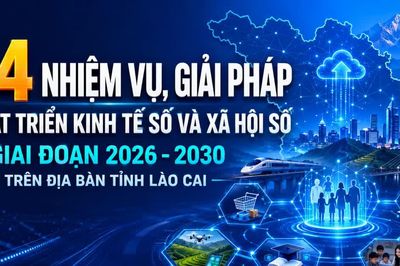 14 nhiệm vụ, giải pháp phát triển kinh tế số, xã hội số giai đoạn 2026-2030 trên địa bàn tỉnh Lào Cai