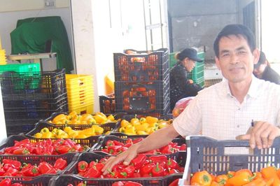 Liên kết để nâng tầm vùng nguyên liệu