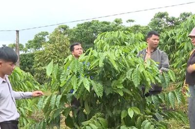 Từ đổi nếp nghĩ đến đổi cách làm ở Bảo Lâm 5