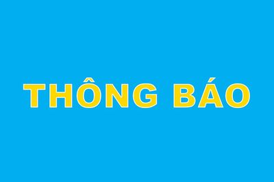 Ninh Bình điều chỉnh thời gian vận hành mở cầu phao Đồng Chưa lên 5 lần mỗi ngày