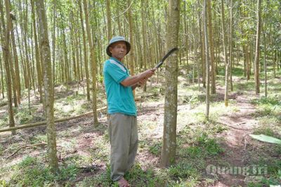 Hồ Pheo làm theo lời Bác