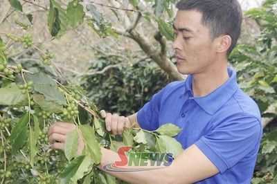 Quyết tâm làm giàu trên mảnh đất quê hương