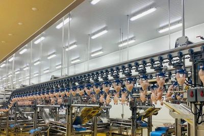 Thịt gà chế biến của Việt Nam chính thức xuất khẩu sang Hàn Quốc
