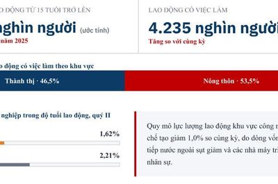 Điểm tựa và cơ hội bứt phá cho thị trường lao động cuối năm