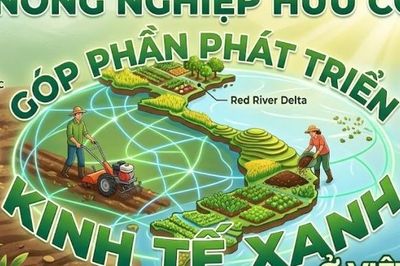 Nông nghiệp hữu cơ góp phần phát triển kinh tế xanh ở Việt Nam