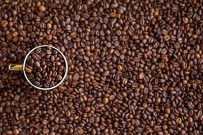 Giá cà phê hôm nay 26/8: Quay đầu giảm