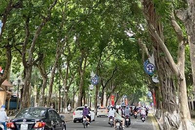 Bắc Bộ có mưa rào và dông rải rác