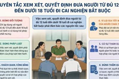 Nguyên tắc quyết định đưa người từ đủ 12 tuổi đến dưới 18 tuổi cai nghiện bắt buộc