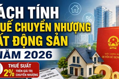 Thuế chuyển nhượng bất động sản năm 2026 được tính như thế nào theo quy định mới nhất?