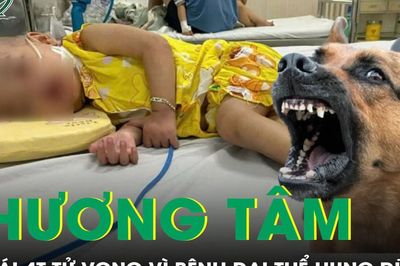 Bé gái 4 tuổi ra đi thương tâm vì bệnh dại thể hung dữ