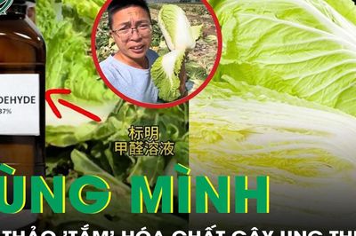 Rùng mình cải thảo 'tắm' hóa chất gây ung thư