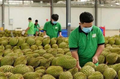 Kiểm soát rủi ro trong xuất khẩu nông sản