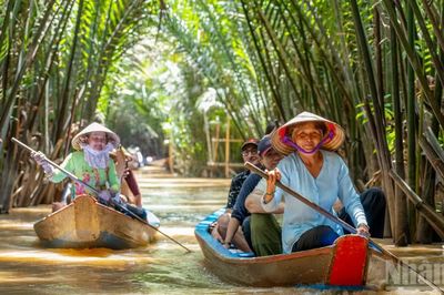 [Ảnh] Khám phá Cù lao Thới Sơn