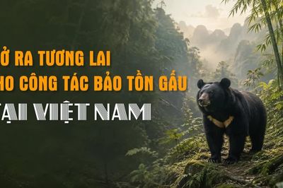 [Video] Mở ra tương lai cho công tác bảo tồn gấu tại Việt Nam
