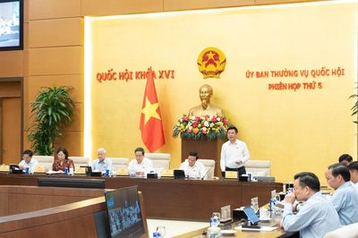 Ủy ban Thường vụ Quốc hội: Hạn chế tối đa can thiệp vào quyền tự do kinh doanh