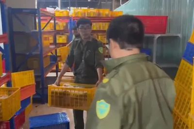 Bắt 2 vợ chồng chủ 'shop online', thu 11.000 đôi dép giả
