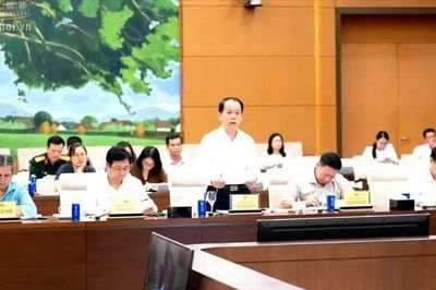 Đề xuất siết điều kiện đối với người nhận con nuôi