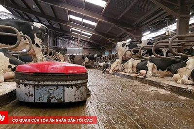 Robot vệ sinh chuồng trại giúp hạn chế phát thải khí mê-tan