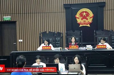 Giám đốc show 'Về đây bốn cánh chim trời' bị tuyên phạt 2 năm tù