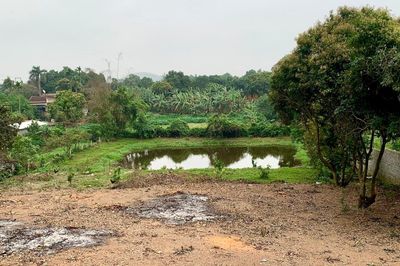Bộ trả lời việc sổ đỏ ghi đất ao lâu dài, làm thừa kế bị đổi thành đất 50 năm