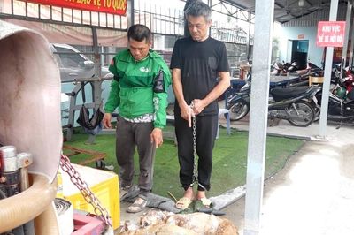 Bắt khẩn cấp hai đối tượng trộm chó liên tiếp trên nhiều địa bàn phường, xã