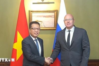 Phó Thủ tướng Nga đề xuất thúc đẩy hợp tác trong các lĩnh vực mới với Việt Nam