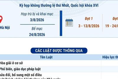 Các luật, nghị quyết được thông qua tại Kỳ họp không thường lệ thứ Nhất, Quốc hội khóa XVI