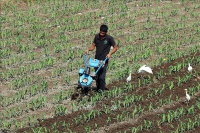 Liên hợp quốc cảnh báo tốc độ suy thoái đất đáng báo động